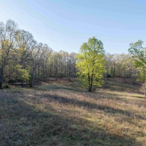 Photo #5 of LINDSAY RD, GORDONSVILLE, VA 33.2 acres