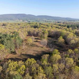 Photo #2 of LINDSAY RD, GORDONSVILLE, VA 33.2 acres