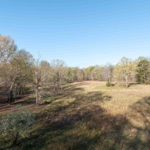 Photo #6 of LINDSAY RD, GORDONSVILLE, VA 33.2 acres