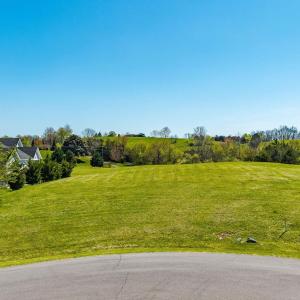 Photo #6 of Lot 2 CORA LN, LEXINGTON, VA 0.7 acres