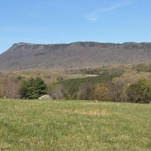 Photo #14 of TBD BLOOMER SPRINGS RD, MCGAHEYSVILLE, VA 10.5 acres