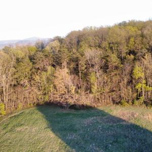 Photo #8 of TBD BLOOMER SPRINGS RD, MCGAHEYSVILLE, VA 10.5 acres