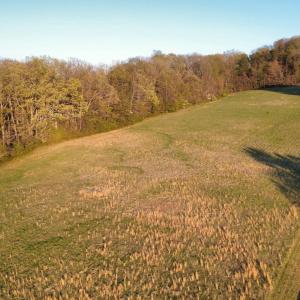 Photo #7 of TBD BLOOMER SPRINGS RD, MCGAHEYSVILLE, VA 10.5 acres