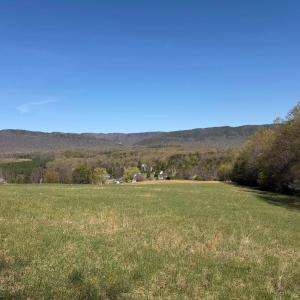 Photo #13 of TBD BLOOMER SPRINGS RD, MCGAHEYSVILLE, VA 10.5 acres