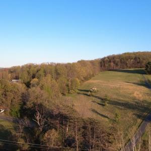 Photo #6 of TBD BLOOMER SPRINGS RD, MCGAHEYSVILLE, VA 10.5 acres