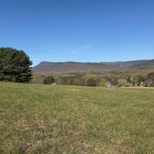 Photo #4 of TBD BLOOMER SPRINGS RD, MCGAHEYSVILLE, VA 10.5 acres