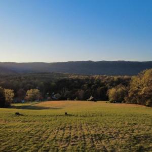 Photo #3 of TBD BLOOMER SPRINGS RD, MCGAHEYSVILLE, VA 10.5 acres