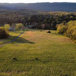 Photo #11 of TBD BLOOMER SPRINGS RD, MCGAHEYSVILLE, VA 10.5 acres