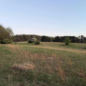 Photo #16 of TBD BLOOMER SPRINGS RD, MCGAHEYSVILLE, VA 10.5 acres