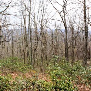 Photo #3 of HIGH VALLEY DR, MONTEREY, VA 20.0 acres