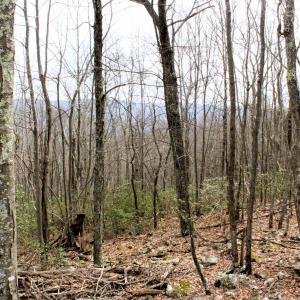 Photo #1 of HIGH VALLEY DR, MONTEREY, VA 20.0 acres