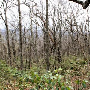 Photo #5 of HIGH VALLEY DR, MONTEREY, VA 20.0 acres