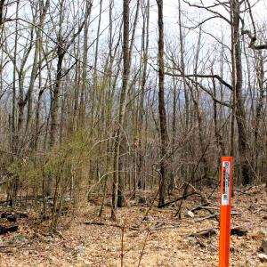 Photo #2 of HIGH VALLEY DR, MONTEREY, VA 20.0 acres