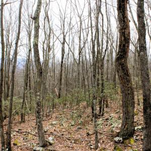 Photo #6 of HIGH VALLEY DR, MONTEREY, VA 20.0 acres