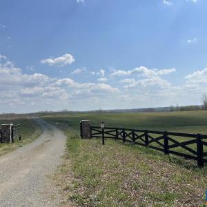 Photo #4 of TBD ROLLING RD, CHARLOTTESVILLE, VA 2,470.0 acres