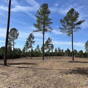 Photo #9 of TBD ROLLING RD, CHARLOTTESVILLE, VA 2,470.0 acres