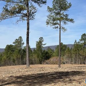 Photo #8 of TBD ROLLING RD, CHARLOTTESVILLE, VA 2,470.0 acres
