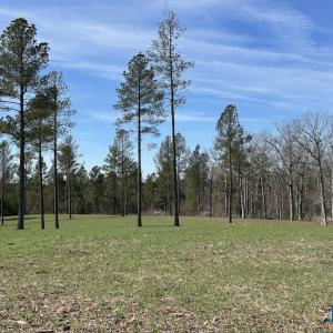 Photo #7 of TBD ROLLING RD, CHARLOTTESVILLE, VA 2,470.0 acres