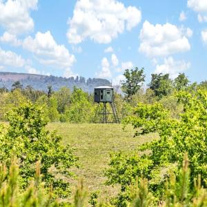Photo #9 of TBD ROLLING RD, CHARLOTTESVILLE, VA 2,470.0 acres