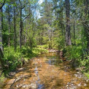 Photo #15 of TBD ROLLING RD, CHARLOTTESVILLE, VA 2,470.0 acres