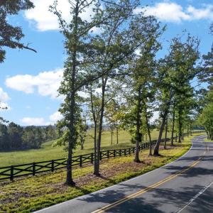 Photo #3 of TBD ROLLING RD, CHARLOTTESVILLE, VA 2,470.0 acres
