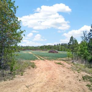 Photo #8 of TBD ROLLING RD, CHARLOTTESVILLE, VA 2,470.0 acres