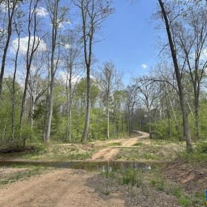 Photo #13 of TBD ROLLING RD, CHARLOTTESVILLE, VA 2,470.0 acres