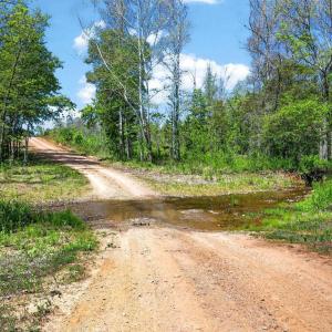 Photo #14 of TBD ROLLING RD, CHARLOTTESVILLE, VA 2,470.0 acres