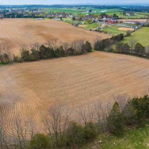 Photo #6 of 15,17,25,37 HAYFIELD LANE, FORT DEFIANCE, VA 36.5 acres