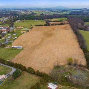 Photo #10 of 15,17,25,37 HAYFIELD LN, FORT DEFIANCE, VA 36.5 acres