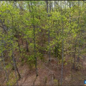 Photo #4 of TURKEYSAG TRL, PALMYRA, VA 0.3 acres