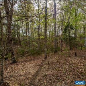 Photo #1 of TURKEYSAG TRL, PALMYRA, VA 0.3 acres