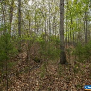 Photo #2 of TURKEYSAG TRL, PALMYRA, VA 0.3 acres