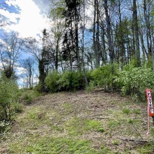 Photo #1 of LAKESIDE DR, CHARLOTTESVILLE, VA 0.4 acres