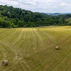Photo #4 of 25 KOOGLER TRL, RAPHINE, VA 11.3 acres
