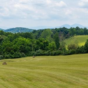 Photo #1 of 25 KOOGLER TRL, RAPHINE, VA 11.3 acres