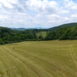 Photo #12 of 25 KOOGLER TRL, RAPHINE, VA 11.3 acres