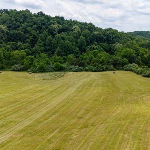Photo #3 of 25 KOOGLER TRL, RAPHINE, VA 11.3 acres