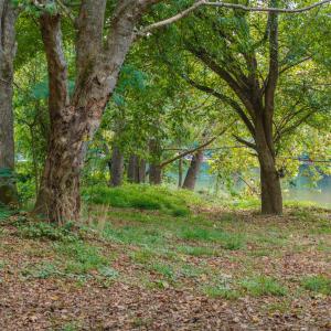 Photo #27 of TBD JONES OVERLOOK, HOWARDSVILLE, VA 85.6 acres