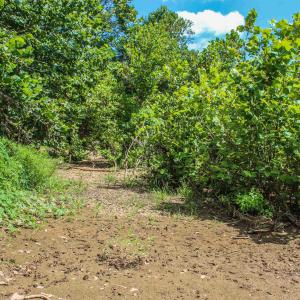 Photo #65 of TBD JONES OVERLOOK, HOWARDSVILLE, VA 85.6 acres