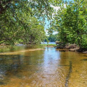 Photo #58 of TBD JONES OVERLOOK, HOWARDSVILLE, VA 85.6 acres