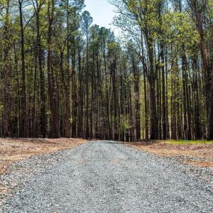 Photo #6 of TBD GARTH GATE LN, CHARLOTTESVILLE, VA 21.0 acres