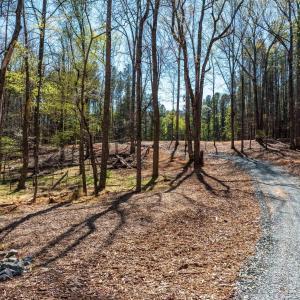 Photo #5 of TBD GARTH GATE LN, CHARLOTTESVILLE, VA 21.0 acres