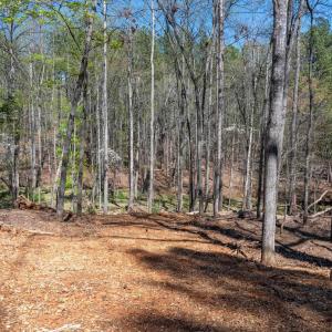 Photo #7 of TBD GARTH GATE LN, CHARLOTTESVILLE, VA 21.0 acres