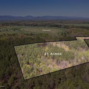Photo #11 of TBD GARTH GATE LN, CHARLOTTESVILLE, VA 21.0 acres