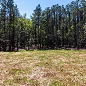 Photo #1 of TBD GARTH GATE LN, CHARLOTTESVILLE, VA 21.0 acres