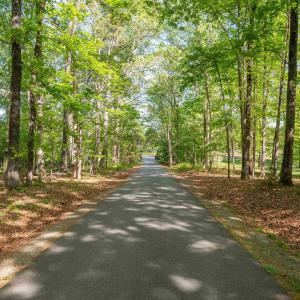 Photo #11 of TBD GARTH GATE LN, CHARLOTTESVILLE, VA 21.0 acres