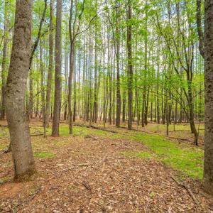 Photo #9 of TBD GARTH GATE LN, CHARLOTTESVILLE, VA 21.0 acres