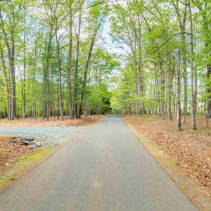 Photo #6 of TBD GARTH GATE LN, CHARLOTTESVILLE, VA 21.0 acres