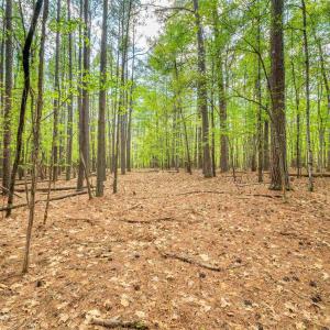 Photo #10 of TBD GARTH GATE LN, CHARLOTTESVILLE, VA 21.0 acres